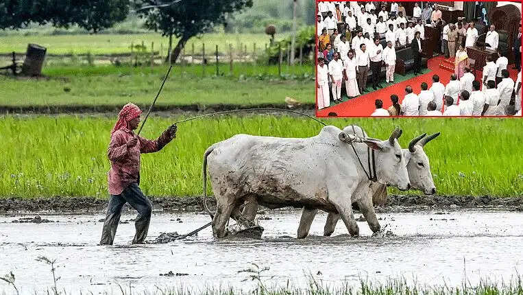 விவசாயி வேளாண் பட்ஜெட்