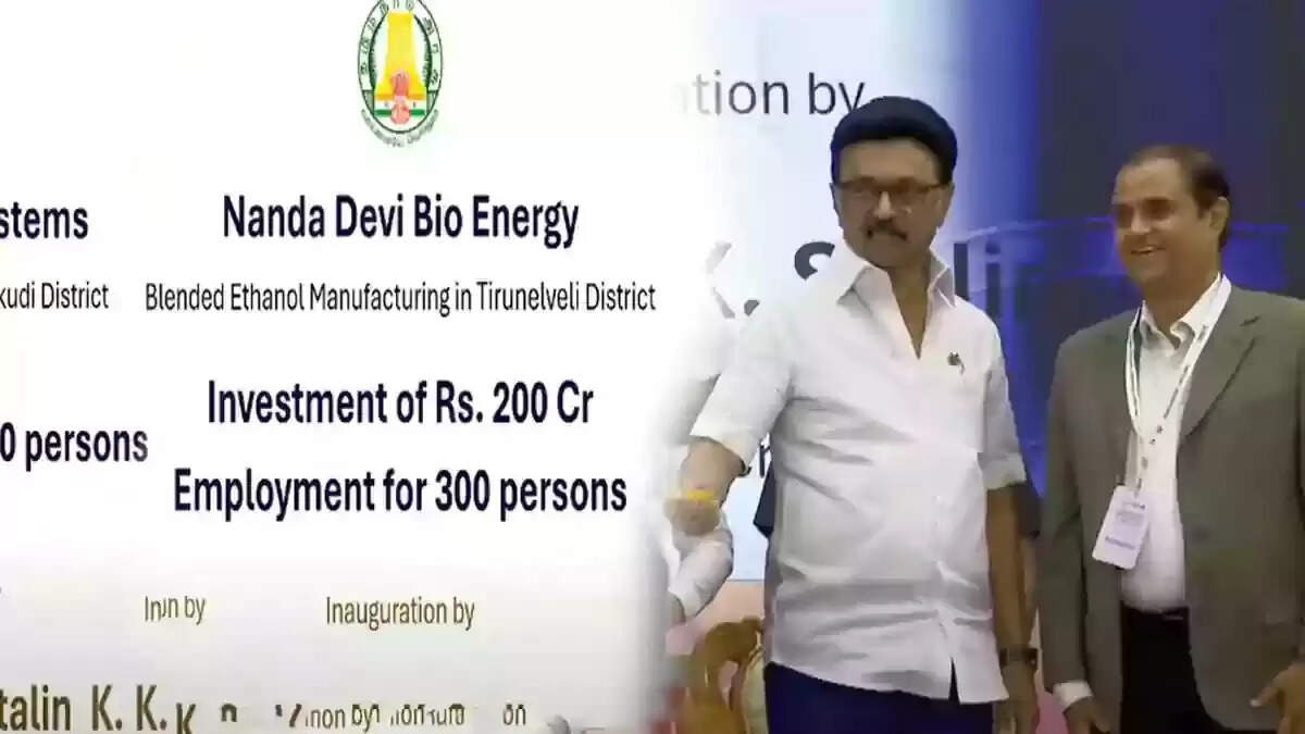 வின் பாஸ்ட்