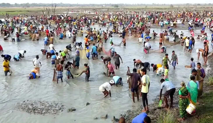  மீன்பிடித் திருவிழா