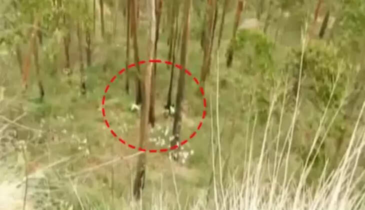 தன்ராஜ்