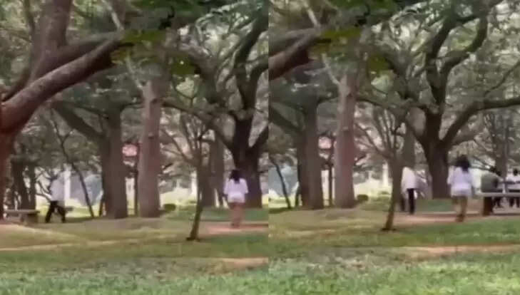 பெங்களூரு கப்பன் பூங்கா