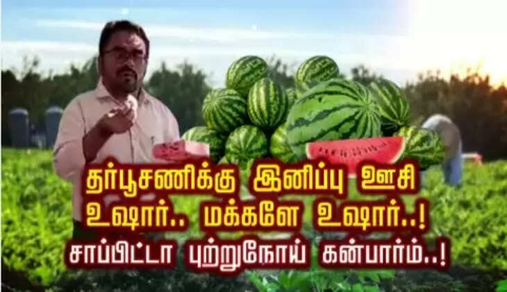 தர்ப்பூசணி