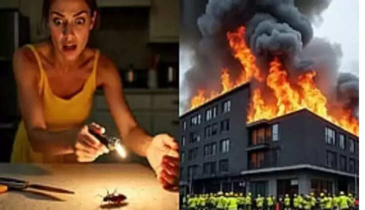 கரப்பான் பூச்சி