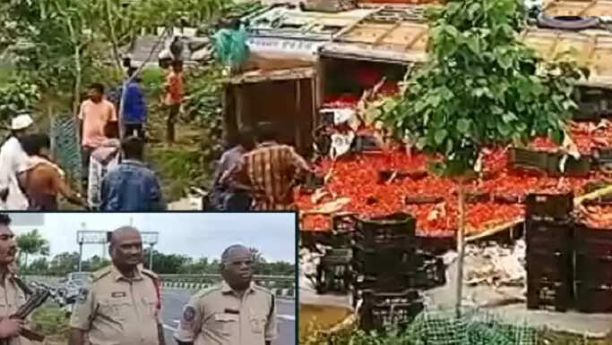 சாலையில் கவிழ்ந்த தக்காளி