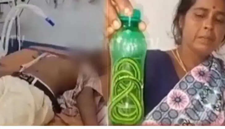 பாட்டிலில் பாம்பு