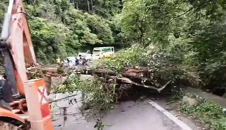 மரம் சரிவு