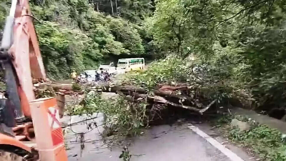 மரம் சரிவு