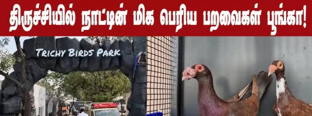 திருச்சி பறவைகள் பூங்கா