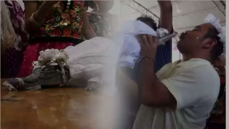 முதலை திருமணம்