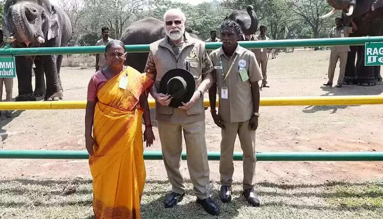 பொம்மன் பெள்ளி