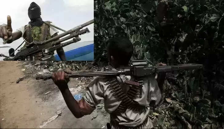 நைஜரில்