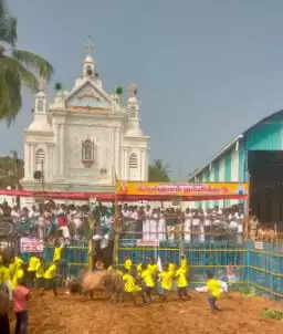 ஜல்லிக்கட்டு