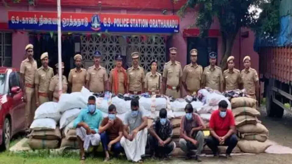 தென்னமாடு 