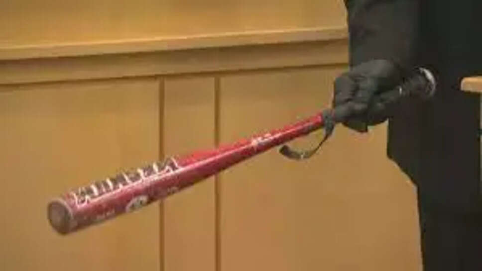 பேஸ்பால் மட்டையால்  தாயை அடித்து  கொன்ற   மகன்