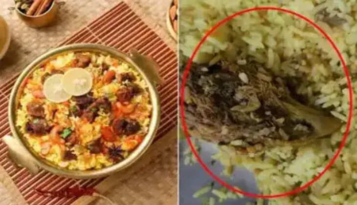 பிரியாணி பார்சலில் கோழி முழு தலை 