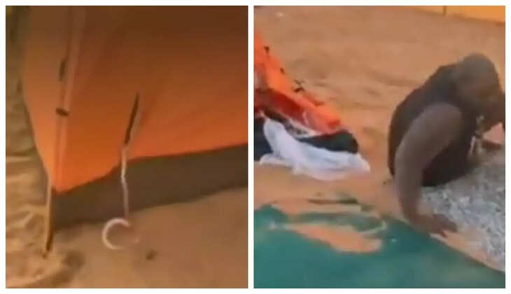 குலுங்கி குலுங்கி சிரிக்க வைக்கும் வீடியோ... கூடாரத்திற்குள் திடீரென நுழைந்த எலெக்ட்ரிக் பாம்பு...!