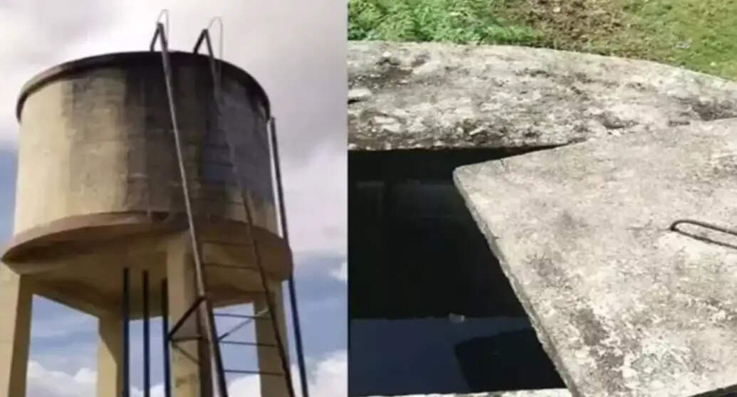 வேங்கை வயல்