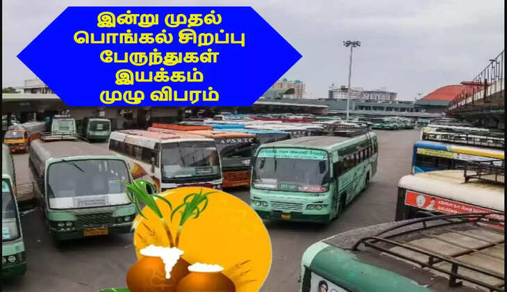 சிறப்பு பேருந்துகள்