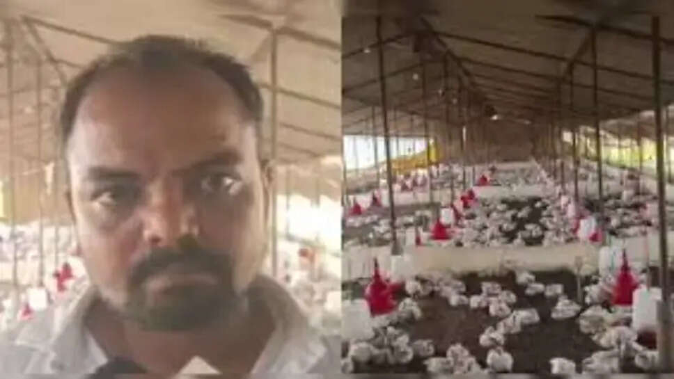 உபி