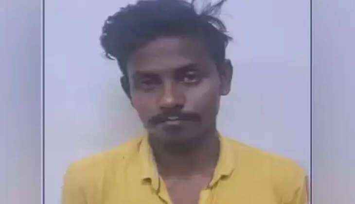 கர்ப்பம்