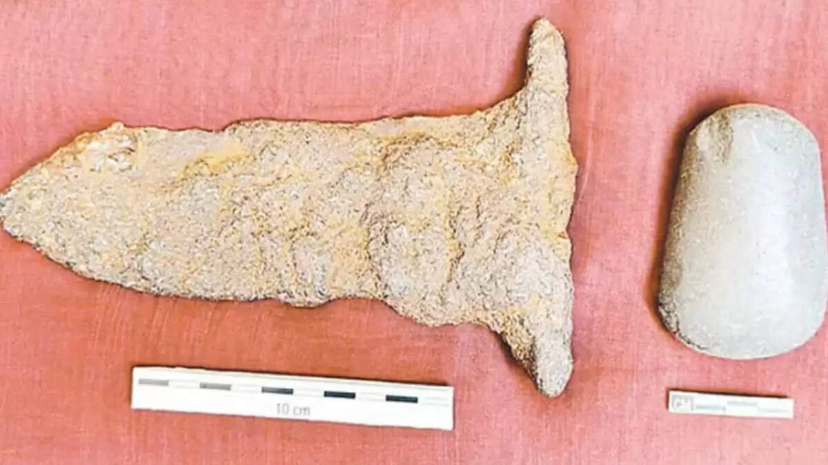 தென்பெண்ணை ஆற்றில் கைக்கோடரி அகழ்வாராய்சி