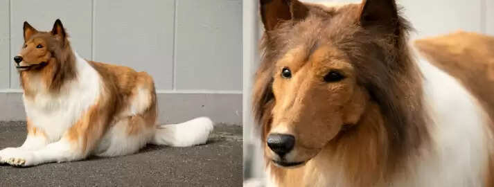 நாயாக மாறிய இளைஞர்