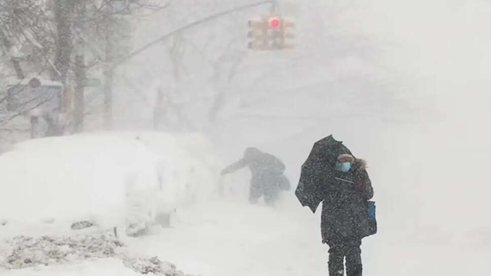 பனிப்புயல்