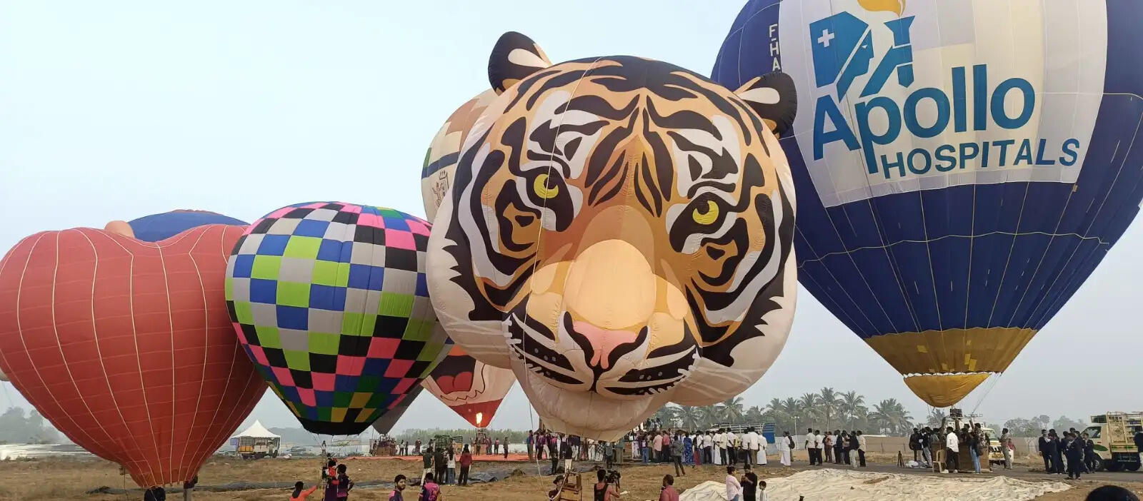 சர்வதேச பலூன் திருவிழா