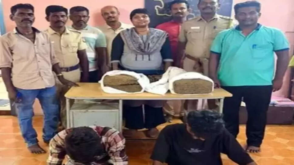 கஞ்சா