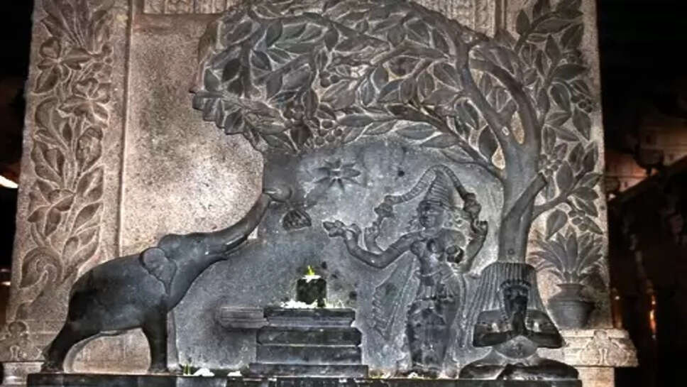 திருச்சி திருவானைக்கோவில் ஜம்புகேஸ்வரர் அகிலாண்டேஸ்வரி கோயில்