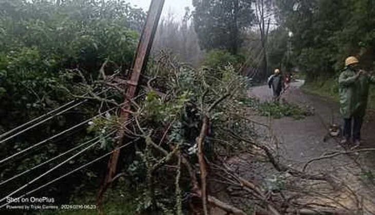 மின்கம்பி அறுந்து