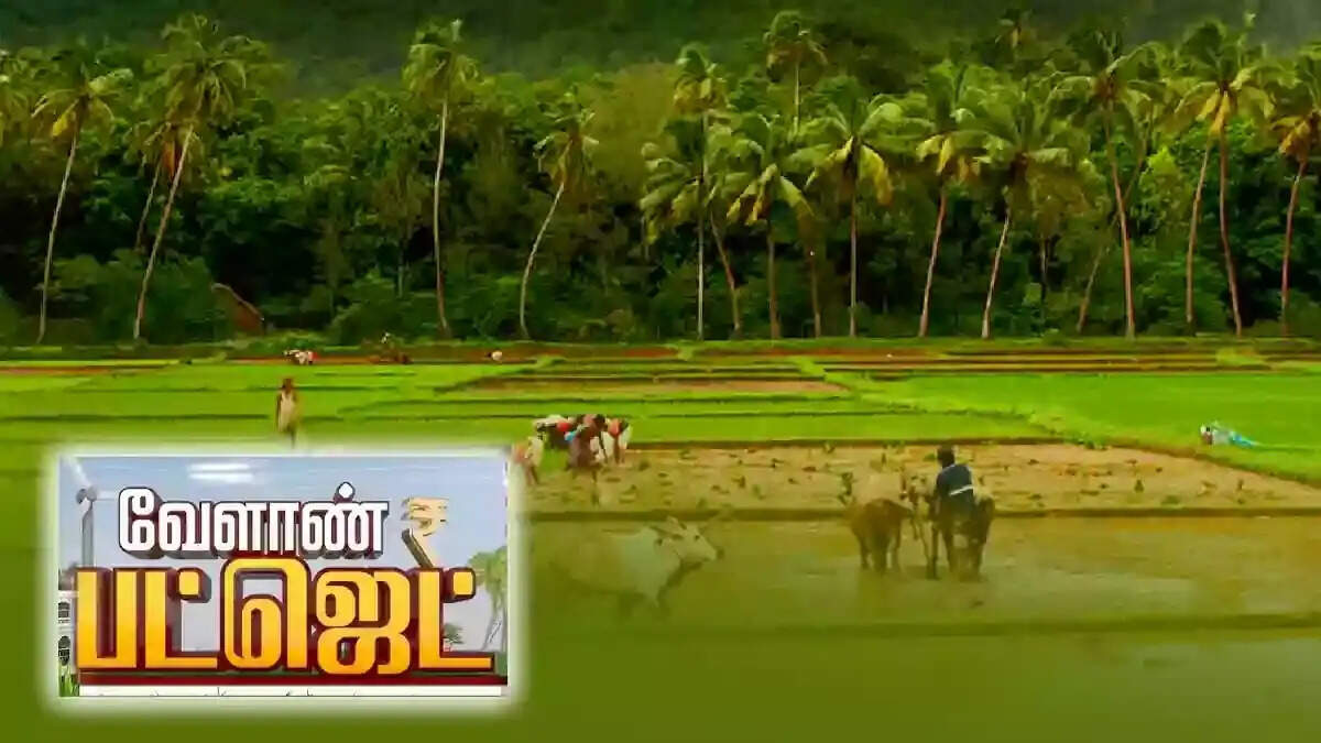 வேளாண் பட்ஜெட்