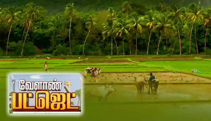 வேளாண் பட்ஜெட்