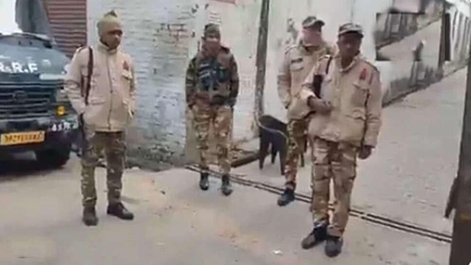 சம்பால்