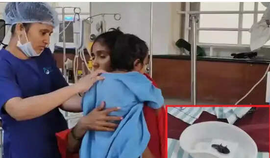 மீன்கள்