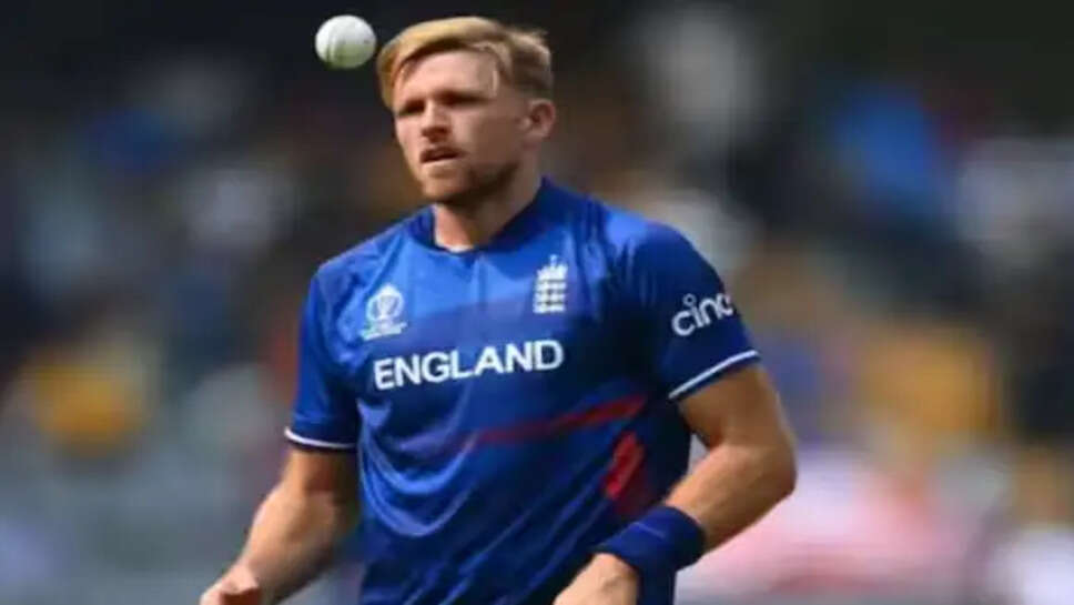 டேவிட் வில்லி