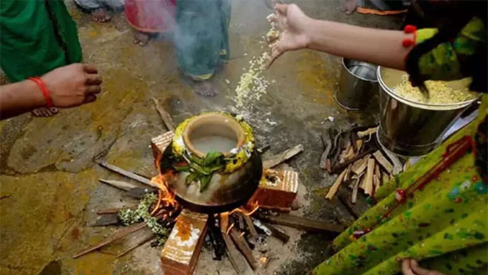 பொங்கல்