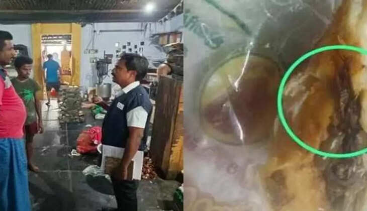 பப்ஸில் கரப்பான் பூச்சி