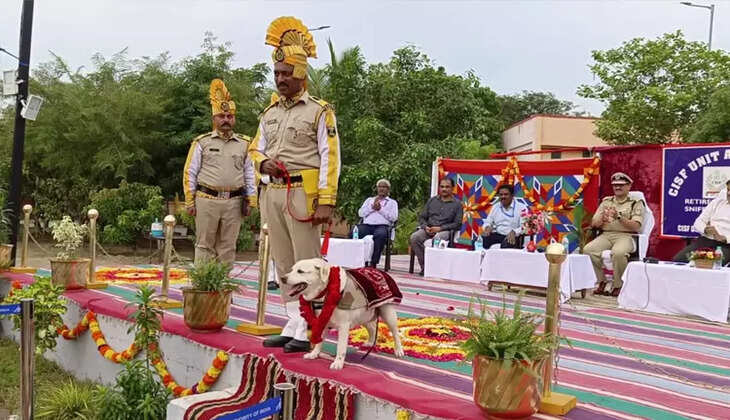 ராணி நாய்