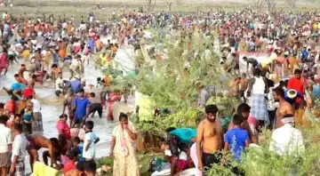 மீன்பிடித் திருவிழா