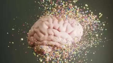 மனித மூளை