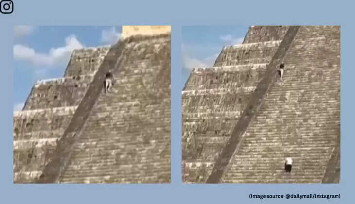 ஷாக் வீடியோ... 1000 வருஷ பழமையான கோவிலில் &nbsp;திடீரென உச்சிக்கு ஏறிய சுற்றுலா பயணி!&nbsp;