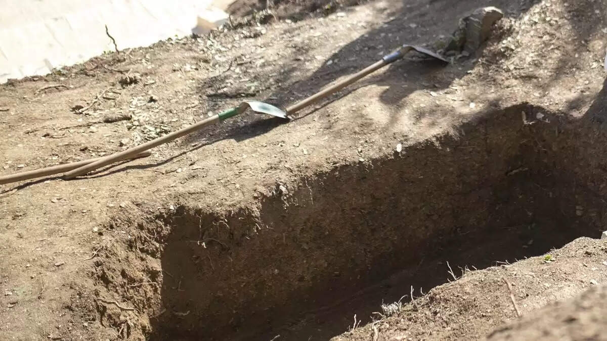 பாகிஸ்தான் 