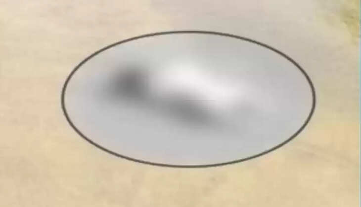 குழந்தை சடலம்