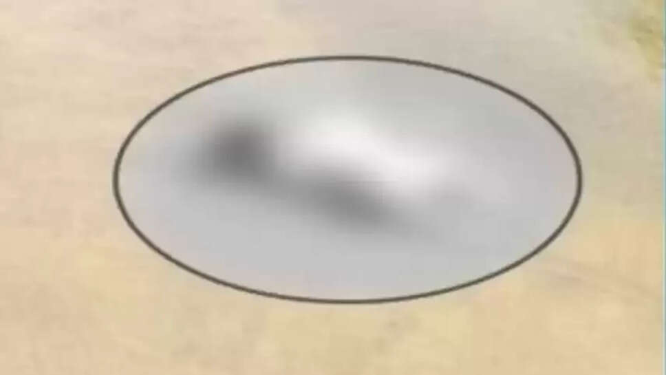 குழந்தை சடலம்