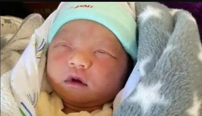 ஜென் பீட்டா