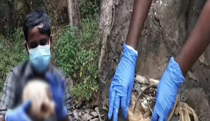 ஞானசௌந்தர்யா 