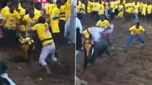 ஜல்லிக்கட்டு