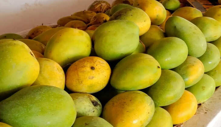 மாம்பழம்