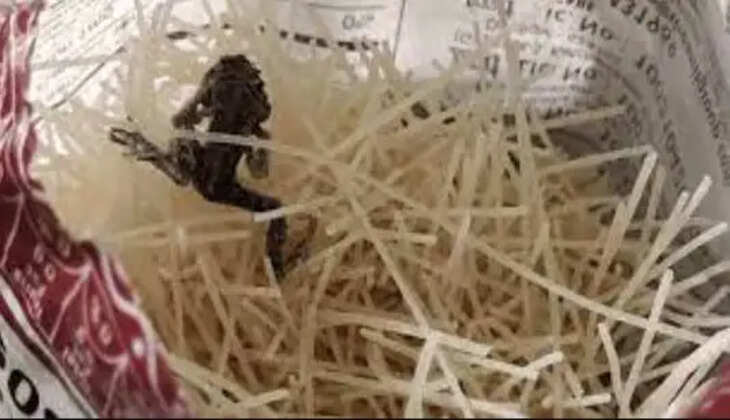 சேமியாவில் இறந்த தவளை